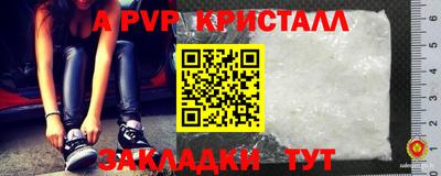 сатива Кингисепп