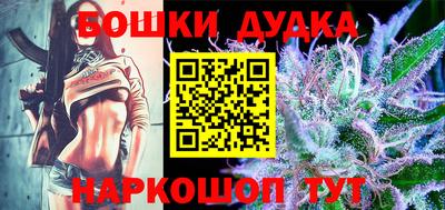 сатива Кингисепп