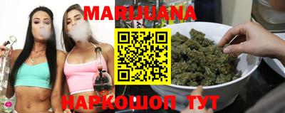 сатива Кингисепп