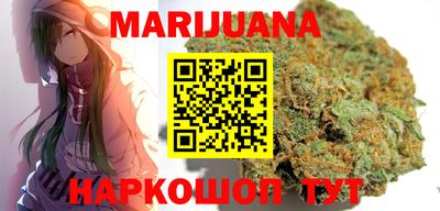 сатива Кингисепп