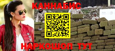 сатива Кингисепп