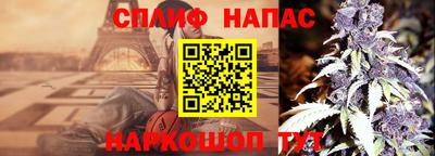индика Кинель