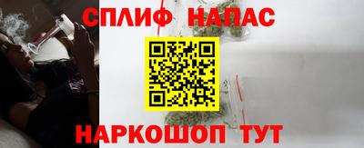 сатива Кингисепп