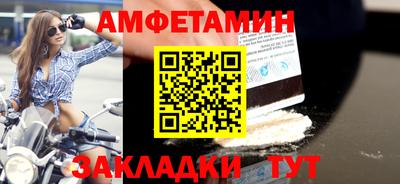 сатива Кингисепп