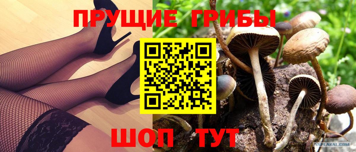 Кохма  Галлюциногенные грибы мицелий  Вход с VPN 