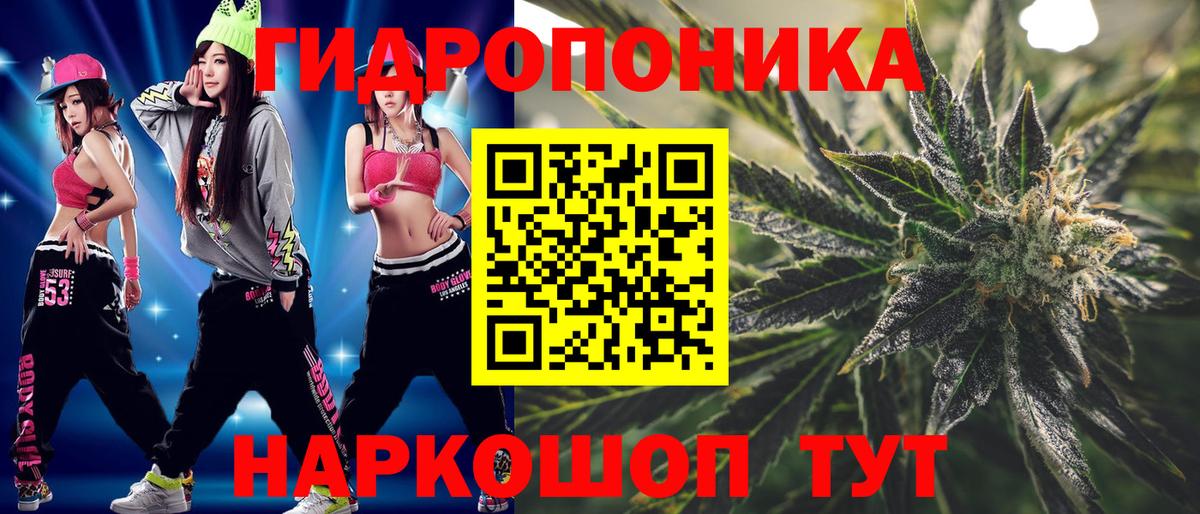 МАРИХУАНА семена Кохма